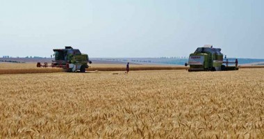 Stire din Economie : Agricultura românească ar putea face exporturi de 50 miliarde euro, dacă…