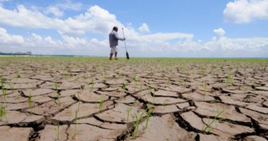 Stire din Economie : Soluții financiare pentru agricultorii afectați de secetă