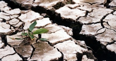 Stire din Social : Meteorologii prognozează secetă în iunie și iulie 2013
