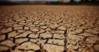 Stire din Social : ANM. Informare meteo de SECETĂ EXTREMĂ în Dobrogea