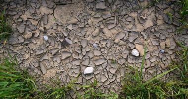 Stire din Actualitate : România se usucă. 2022 este cel mai secetos an din istorie