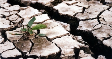 Stire din Social : UN FENOMEN EXTREM LOVEȘTE ROMÂNIA / Anunțul meteorologilor