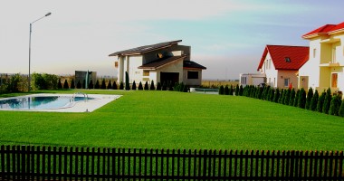 Stire din Diverse : Din secretele plantării gazonului