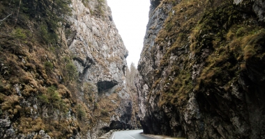 "Turiștii nu văd doar niște ziduri goale, ci află povești" - 13