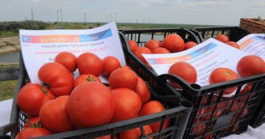 Stire din Economie : Se fac plățile pentru programul de tomate