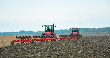 Stire din Economie : Seminţele româneşti şi însămânţarea târzie, soluţia pentru agricultura dobrogeană