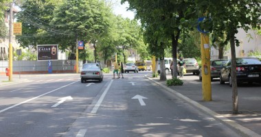 Ghicește indicatorul rutier din copaci! - 3