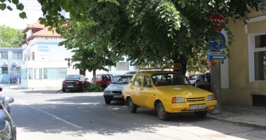 Ghicește indicatorul rutier din copaci! - 2