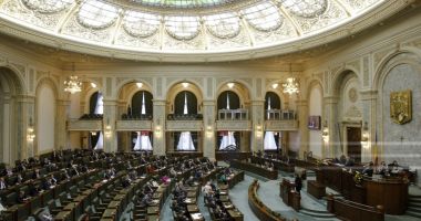 Senatul vrea să îi sancționeze pe parlamentarii scandalagii