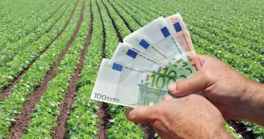 Stire din Economie : Se plătesc ajutoarele în sectorul vegetal