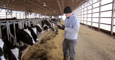 Stire din Economie : Puteţi depune cereri pentru ajutorul de stat 2021 pentru Zootehnie