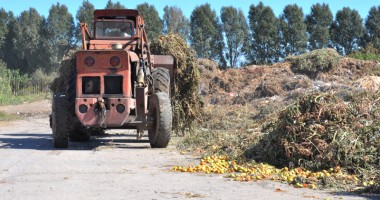 Oameni care mănâncă din gunoaie - 4