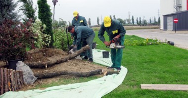 Stire din Politică-Administrație : Se reiau lucrările de reabilitare  a spațiilor verzi la Medgidia