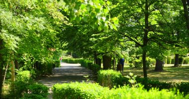 Stire din Social : Şerpi la Constanţa. Primăria, depăşită de bălăriile din spaţiile verzi