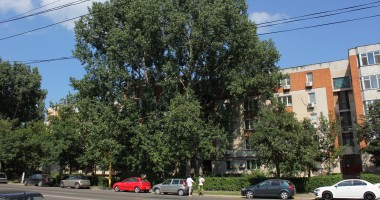 Stire din Social : ANM. Cum va fi vremea mâine, la Constanța
