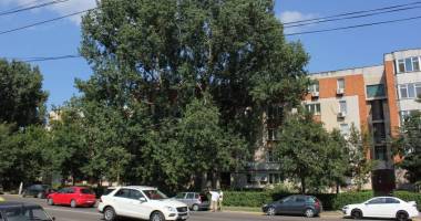Stire din Social : Anunțul meteorologilor. Se întâmplă azi, la Constanța