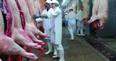 Stire din Economie : Anunț important despre depozitarea privată a cărnii de porc