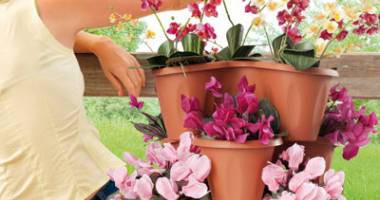 Stire din Diverse : Ghivece extravagante pentru plante de interior