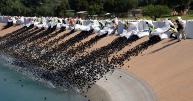 Stire din Actualitate : Au aruncat 96 de milioane de mingi negre de plastic în apă. Iată motivul