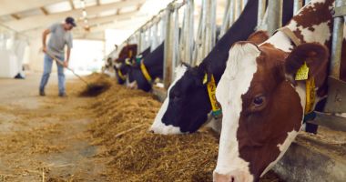 Stire din Economie : APIA eliberează adeverinţe pentru solicitanţii schemei de ajutor de stat în sectorul creşterii animalelor