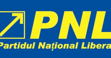 Stire din Politică-Administrație : PNL cere Guvernului să crească numărul secțiilor de votare din diaspora