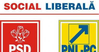 Stire din Politică-Administrație : Proprietarul mărcii USL demisionează din PC