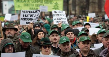 Stire din Eveniment : Silvicultorii au ieșit în stradă după ce primele le-au fost tăiate: „Argumentele sunt penibile”