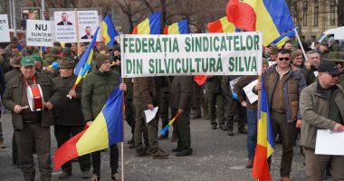 Stire din Social : Silvicultorii ies în stradă! "Reorganizarea Romsilva ne pune în pericol locurile de muncă!"