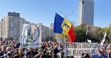 Stire din Social : Silvicultorii protestează, miercuri, în faţa Ministerului Mediului și intră în grevă de avertisment