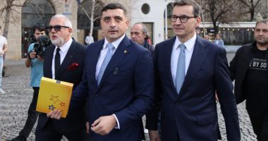 Stire din Politică-Administrație : Candidatura lui Simion, validată de Curtea Constituțională