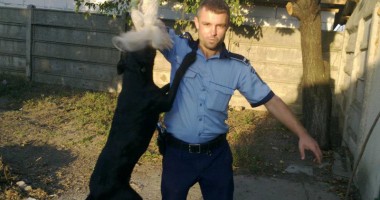 DE NECREZUT: Polițistul care prinde hoți călare și însoțit de un pitbull - 3