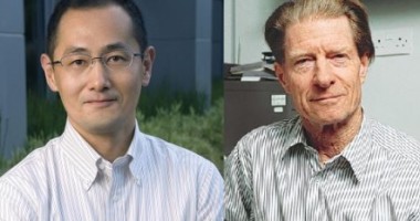 Stire din Sănătate : Premiul Nobel pentru medicină , acordat clonărilor