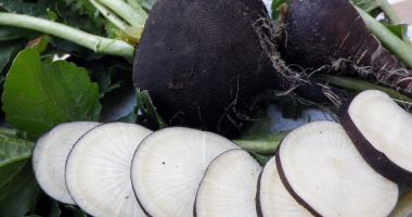 Stire din Sănătate : Siropul de ridichi negre, benefic pentru întărirea sistemului imunitar