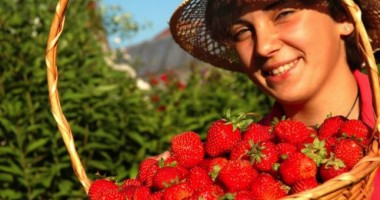 Dieta cu căpșuni de 7 zile