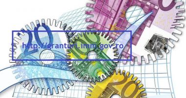 Stire din Economie : Situaţia înscrierilor şi plăţilor pentru Măsura 1 - Microgranturi şi Măsura 2 - Capital de lucru