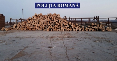 GALERIE FOTO / Șlep încărcat cu lemne fără documente, confiscat de polițiștii constănțeni - 3
