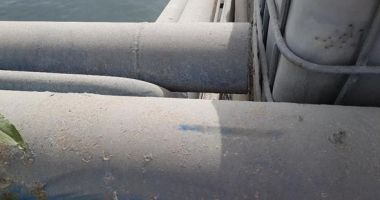Șantierul Naval Constanța se sufocă sub norii de pleavă ridicați de United Shipping Agency (I) - 7