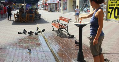 Stire din Social : Vreme de august. Soare şi foarte cald, pe litoral