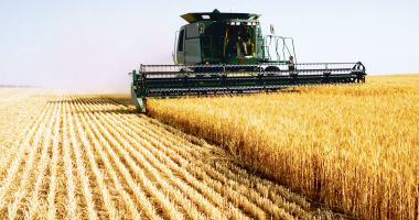 Stire din Economie : Societățile agricole se transformă în societăți comerciale