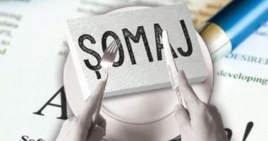 Stire din Social : Mii de șomeri au fost angajați în urma Bursei locurilor de muncă