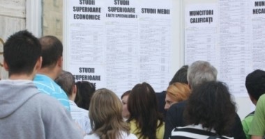 Stire din Social : Locuri de muncă/ Vezi aici oferta pentru săptămâna aceasta