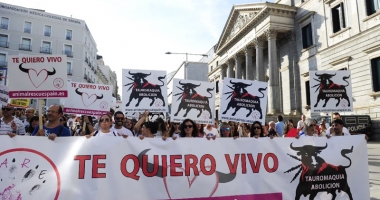 Stire din Actualitate : Spaniolii nu mai vor coride! Manifestații de amploare, la Madrid