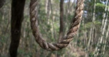 ALERTĂ! O femeie a fost găsită SPÂNZURATĂ în pădurea de la Basarabi