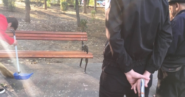 Spărgătorii de semințe, amendați și puși să strângă mizeria făcută - 4
