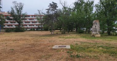 Stire din Politică-Administrație : Spațiile verzi din Mamaia, scoase la vânzare, salvate de la "defrișare"
