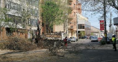 Galerie foto / Lucrări de sezon. Se face CURĂȚENIE ÎN CONSTANȚA! - 3