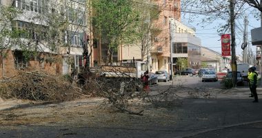 Stire din Social : Spațiul verde din Constanța, înfrumusețat!