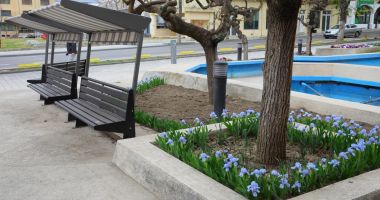 Spațiul verde din Constanța, înfrumusețat! - 2