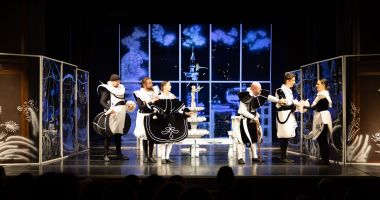 Lică Gherghilescu: "Vrem ca Teatrul «Căluțul de Mare» să devină o casă caldă pentru tineri" - 3