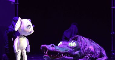 Stire din Cultură-Educație : Spectacol anulat la Teatrul pentru Copii și Tineret "Căluțul de mare"